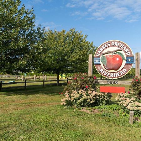 Large Modern North Fork Barn:Vineyards In Backyard, Harbes Farms Villa Mattituck Exterior photo